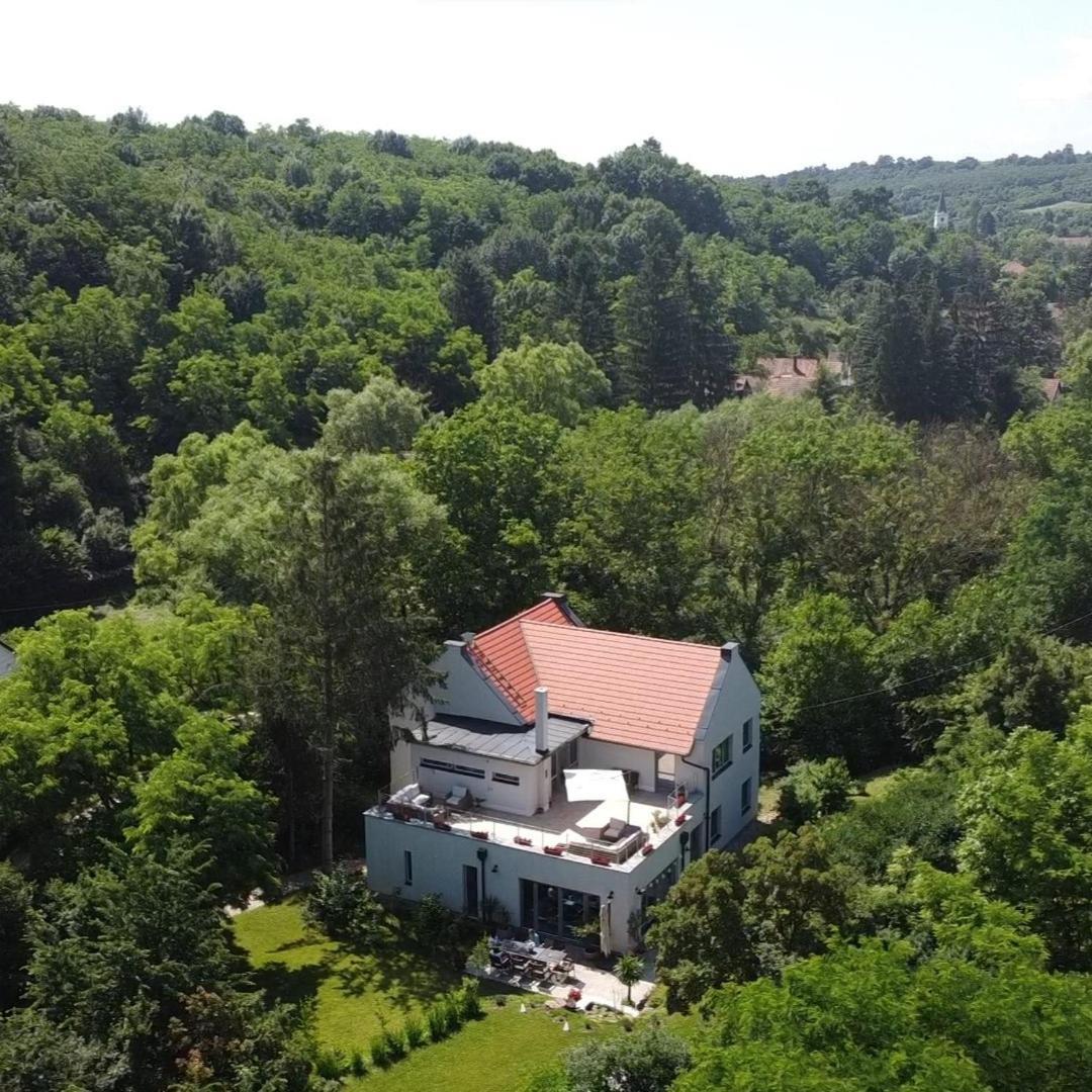 Villa Viridis Buekkalja Borsodgeszt Exterior photo